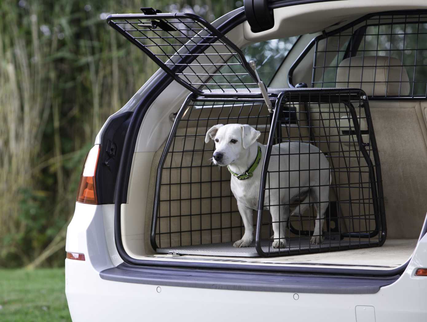 Artfex Hundbur Small
